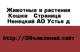 Животные и растения Кошки - Страница 2 . Ненецкий АО,Устье д.